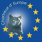 Logo Chartreux d'Europe