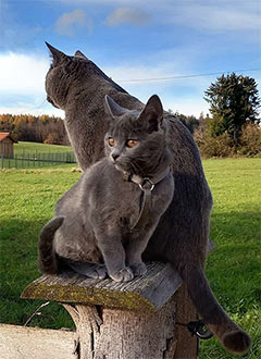 Willi und Xaver von Chersloh